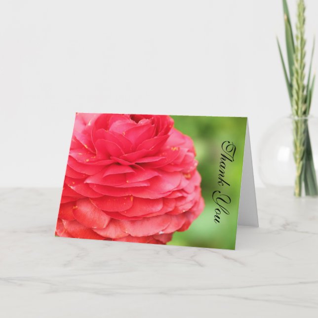 WEDDING THANK YOU NOTES (Front)