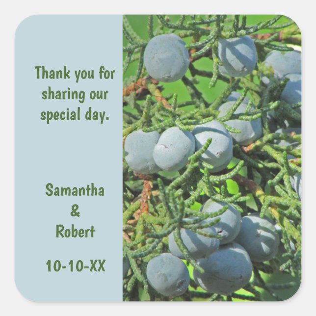 Wedding Thank You Rustic Pine Guest Appreciation Square Sticker (Front)