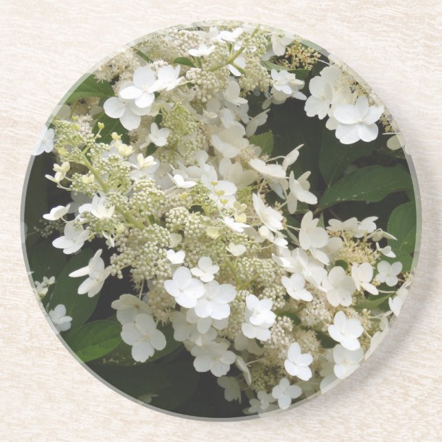 Wedding Veil Hydrangea Coaster (Front)