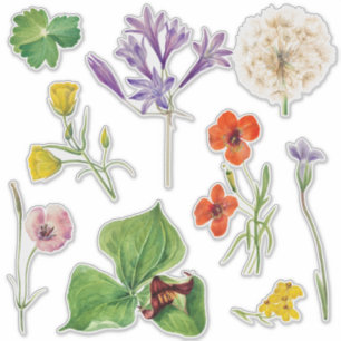 Wedding Welcome Sign Colourful Wildflower 