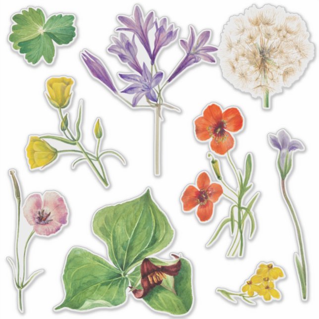 Wedding Welcome Sign Colourful Wildflower  (Front)