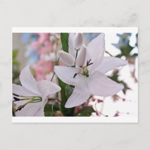 wedding white lily flowers floral flora love vines postcard