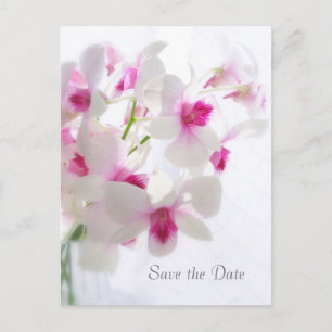 Wedding. White Orchids. Save the Date Announcement Postcard