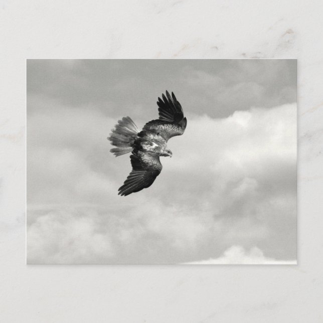 wedge postcard (Front)