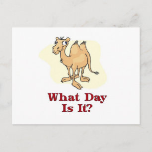 Wednesday Hump Day Postcard