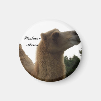 Wedrose Acres camel magnet