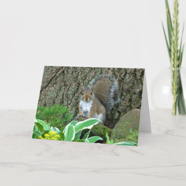 Wee Princess Holiday Card (Front)