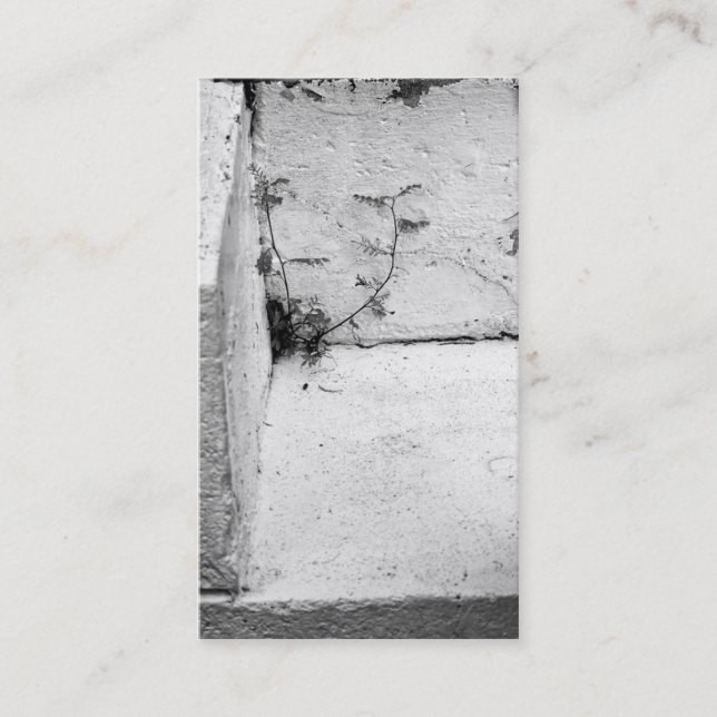 Weed on Concrete Steps Business Card (Front)