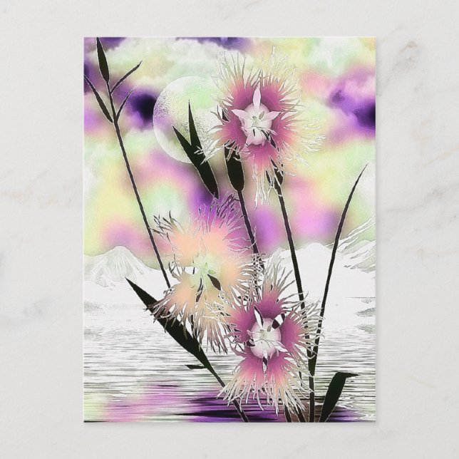 Weeds & Mist Nature Art Postcard (Front)