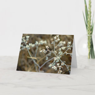 Weeds on A Fishing Trip Card