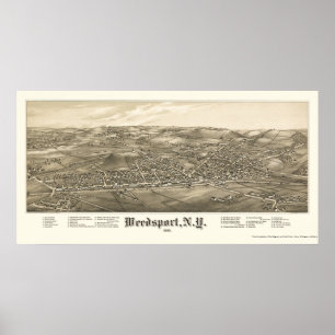 Weedsport, NY Panoramic Map - 1885 Poster