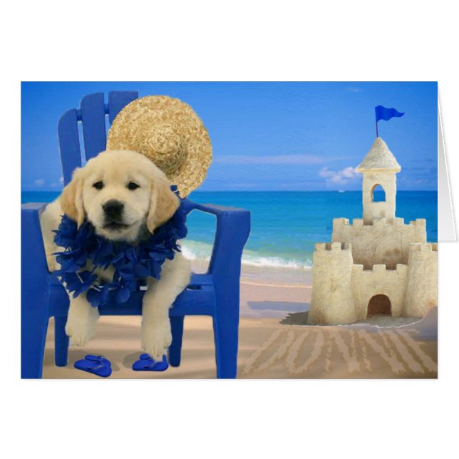 Week 8 - Beach Donnie (Front Horizontal)