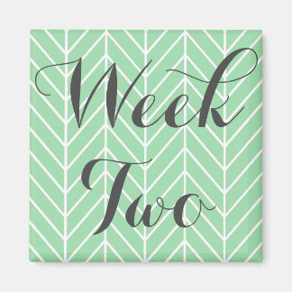 Week Two Magnet