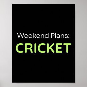 Weekend Plans Cricket Cricketer Poster