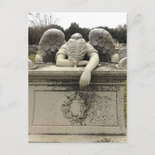 Weeping Angel Postcard