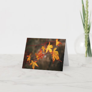 Weeping Autumn Note Card