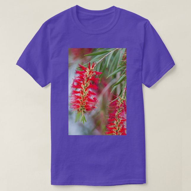 Weeping Bottlebrush Red Blooms T-Shirt (Design Front)