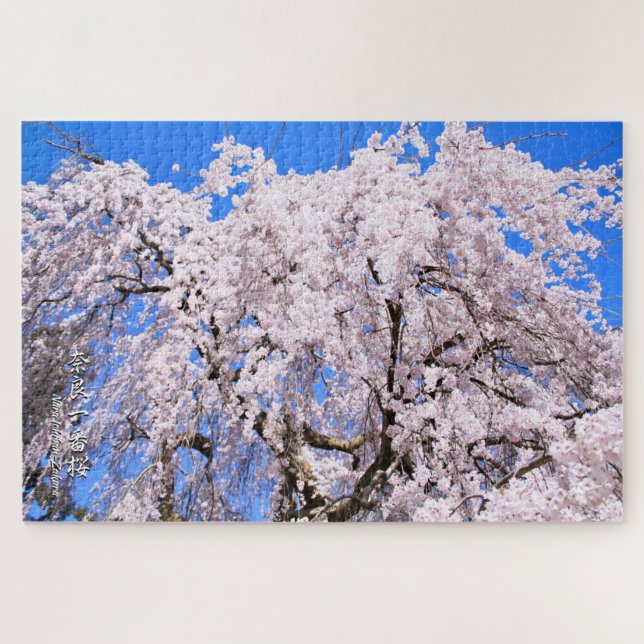 Weeping cherry tree ("Nara Ichiban-Zakura") Jigsaw Puzzle (Horizontal)