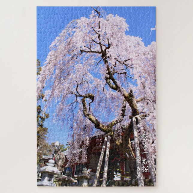 Weeping cherry tree ("Nara Ichiban-Zakura") Jigsaw Puzzle (Vertical)