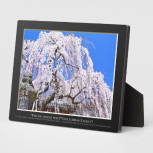 Weeping cherry tree ("Nara Ichiban-Zakura") Plaque