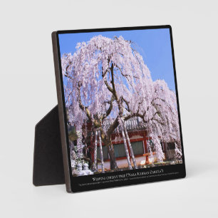 Weeping cherry tree ("Nara Ichiban-Zakura") Plaque