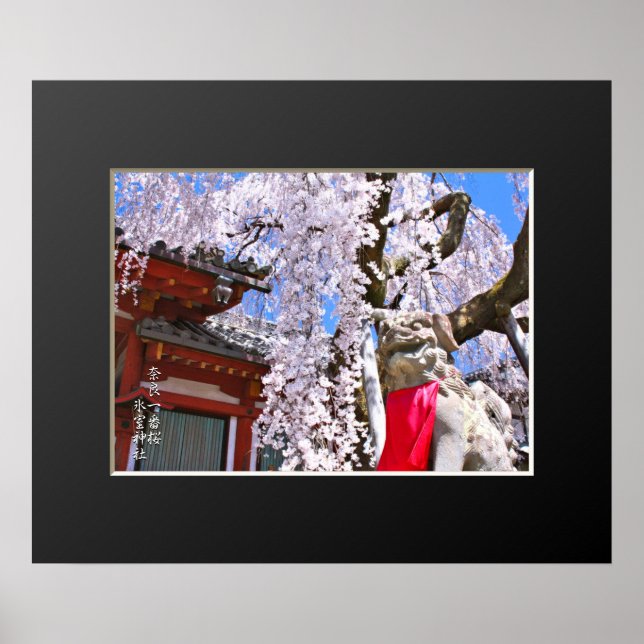 Weeping cherry tree ("Nara Ichiban-Zakura") Poster (Front)