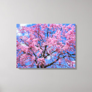 Weeping Cherry: Yaebenishidare [Canvas Print] Canvas Print
