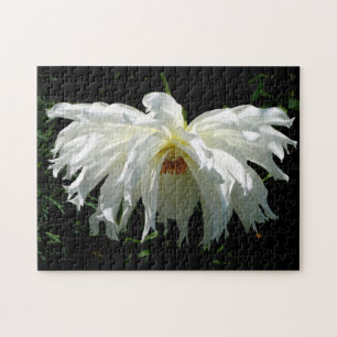 Weeping White Dahlia Jigsaw Puzzle