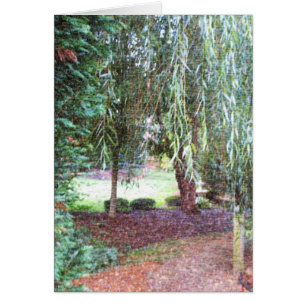 Weeping Willow