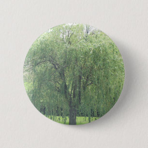 Weeping WIllow 6 Cm Round Badge