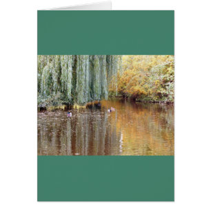 Weeping Willow Reflection