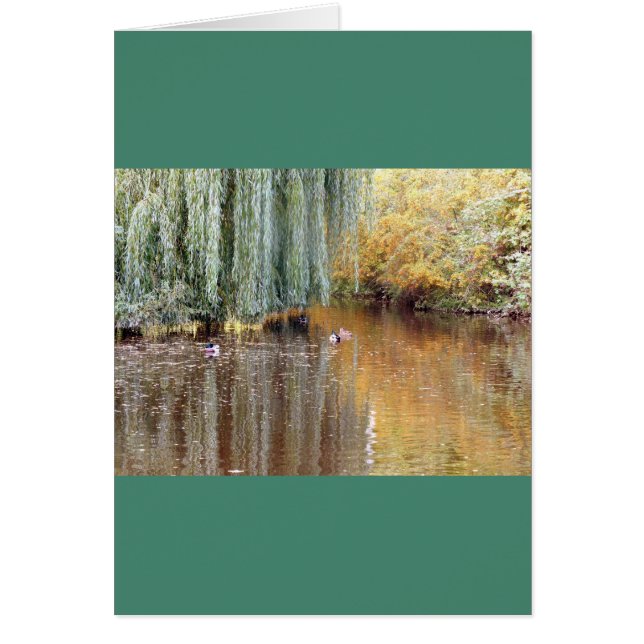 Weeping Willow Reflection (Front)