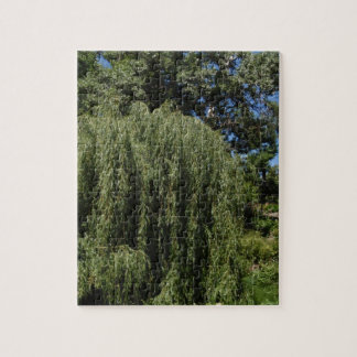 Weeping Willow Tree Jigsaw Puzzle