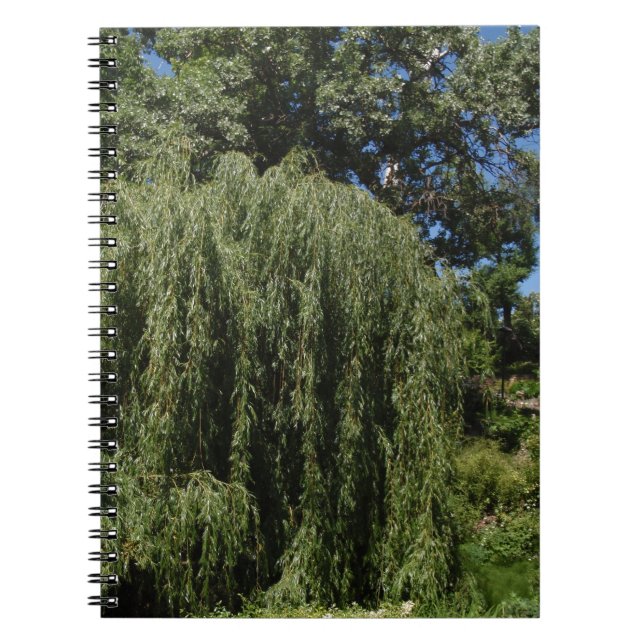 Weeping Willow Tree Notebook (Front)
