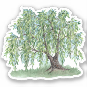 Weeping Willow Vinyl Sticker