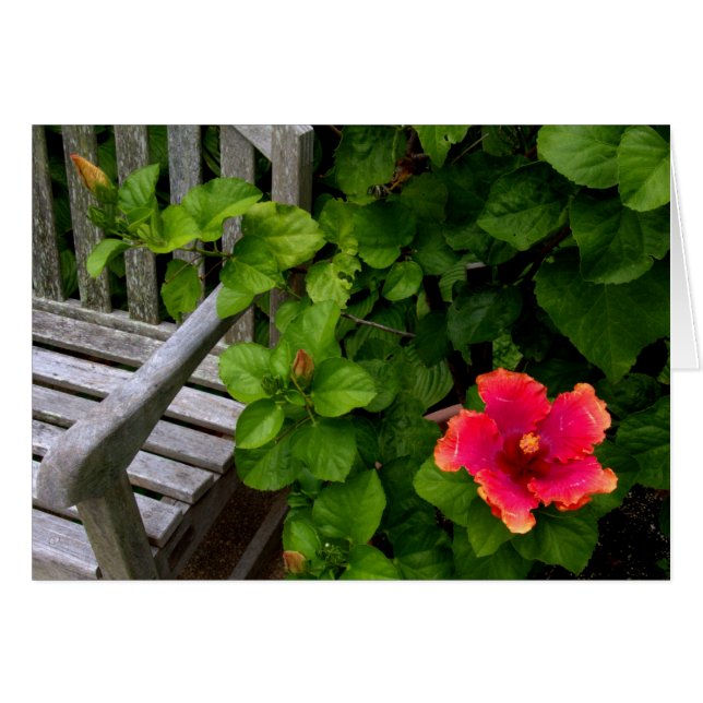 Wegerzyn Garden Centre #30 (Front Horizontal)