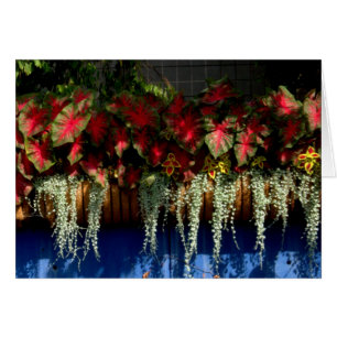 Wegerzyn Garden Centre #34