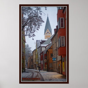 Weiden id Opf - Snowy Side Street Poster