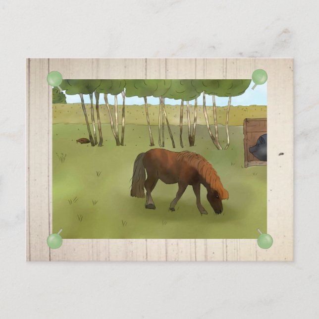 Weidepony Postcard (Front)