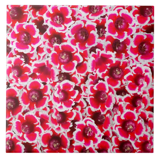 Weigela Florida Flowers Tile (Front)