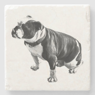 Weight Held in Stillness Stone Coaster