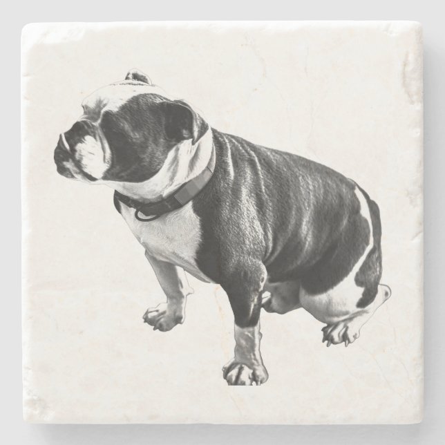 Weight Held in Stillness Stone Coaster (Front)