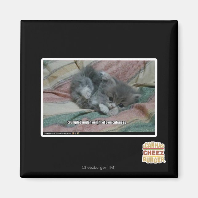 Weight of own cuteness magnet (Front)