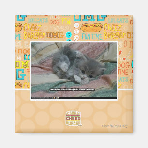 Weight of own cuteness magnet