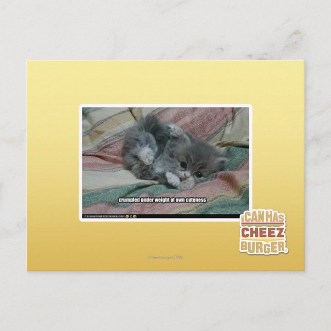 Weight of own cuteness postcard (Front)