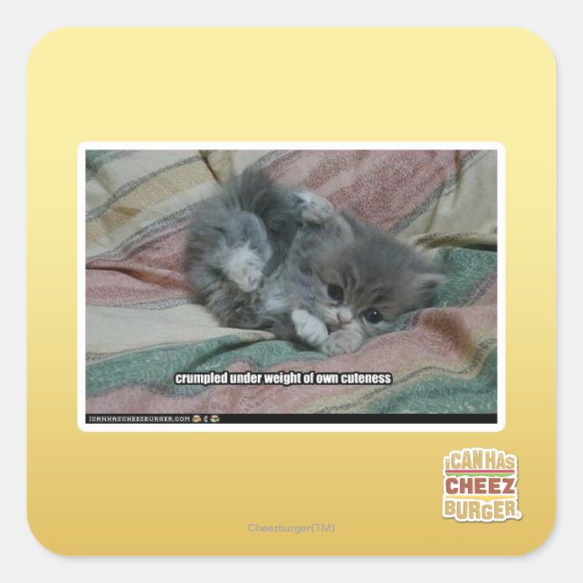 Weight of own cuteness square sticker (Front)