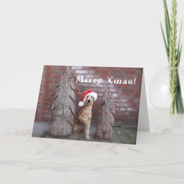 Weihnachtskarte ‘Irish Terrier’ Holiday Card (Front)
