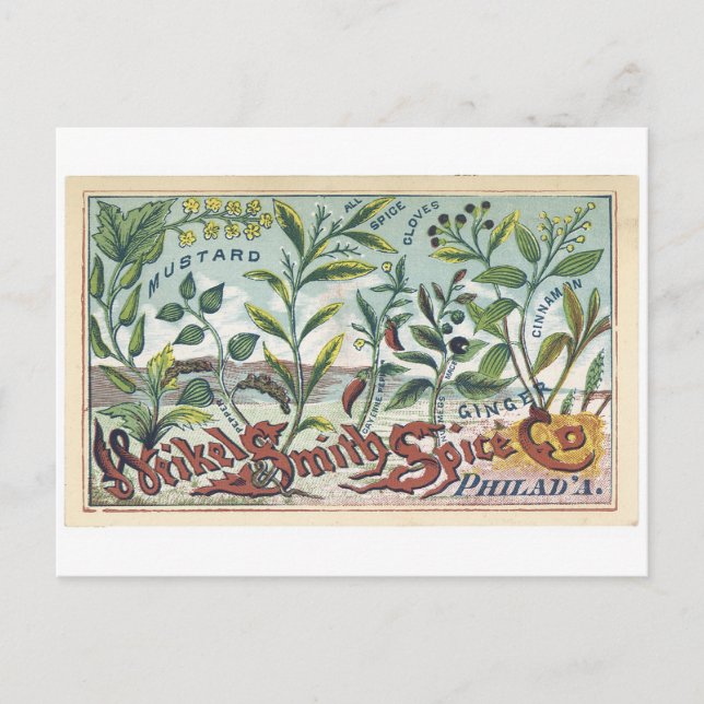 Weikel Smith Spice Co. Phila Postcard (Front)