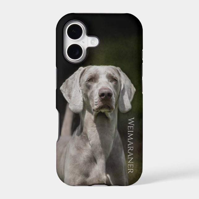 Weimaraner (Back)