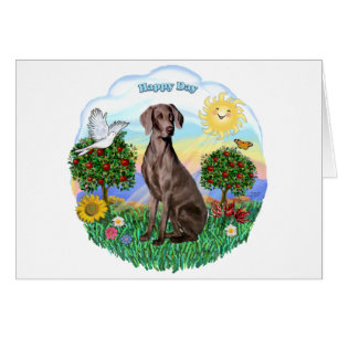 Weimaraner #2